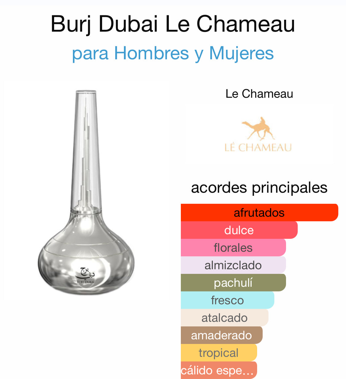 Burj Dubai Le Chameau