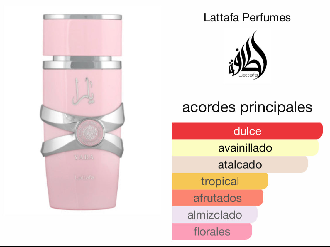 Yara Rosa Lattafa -Mujer-