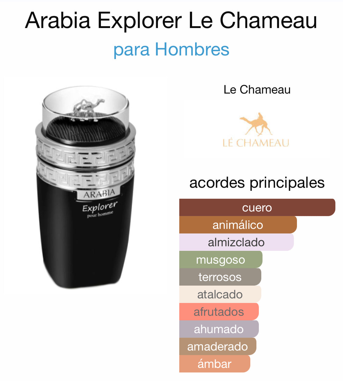 Arabia Explorer Homme Le Chameau