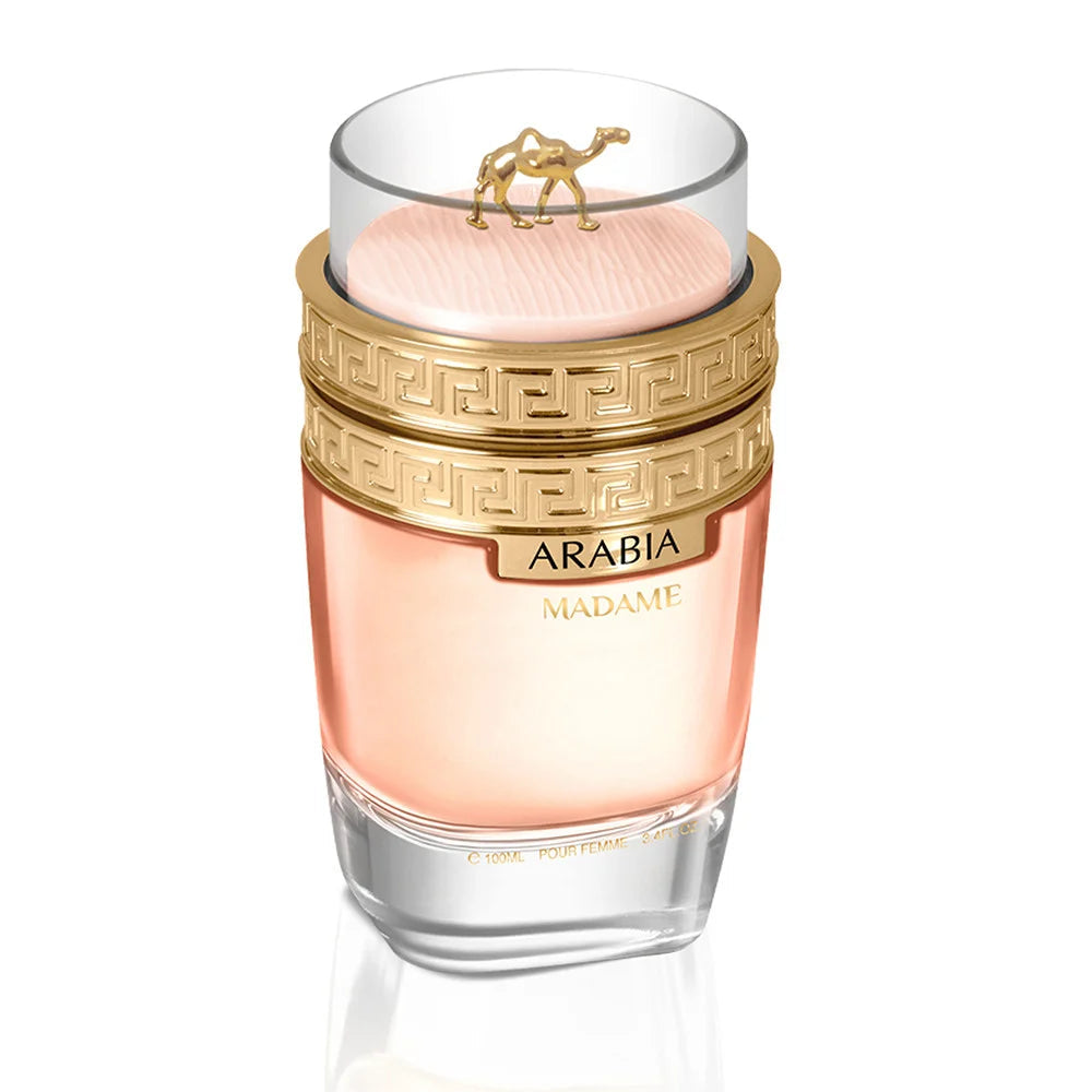 Arabia Madame Femme Le Chameau