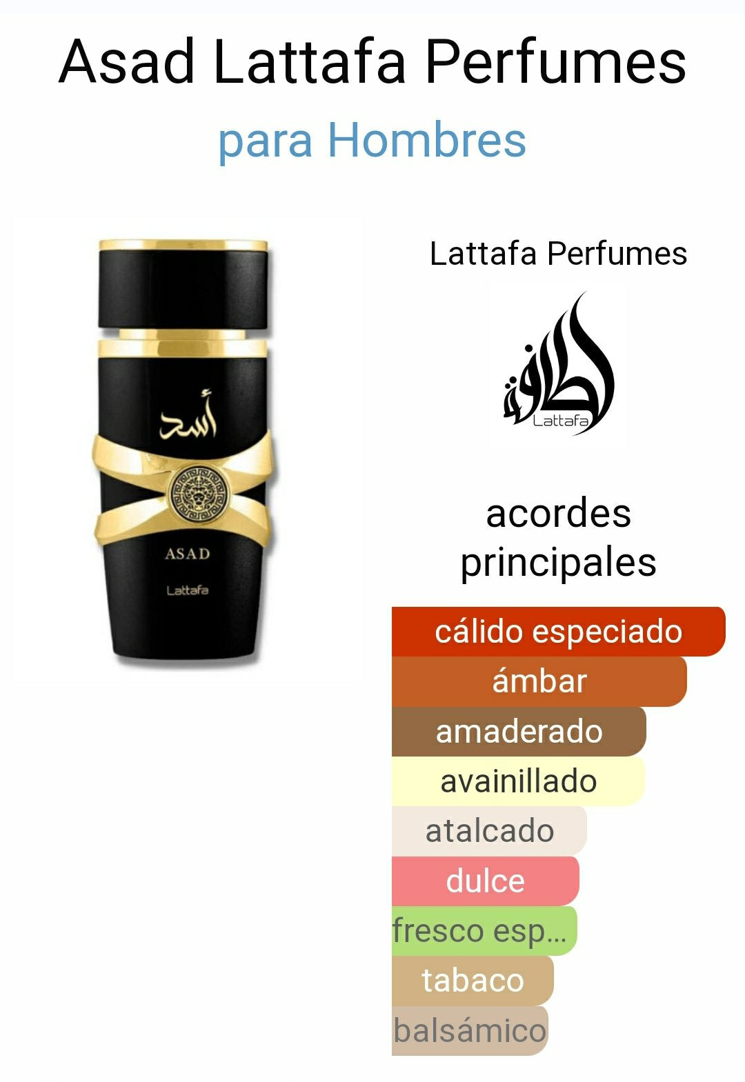 Asad Lattafa -Hombre-